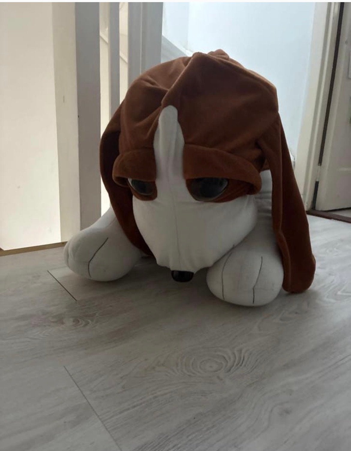 Grote knuffelhond, Ophalen, Overige merken, Overige karakters, Hond