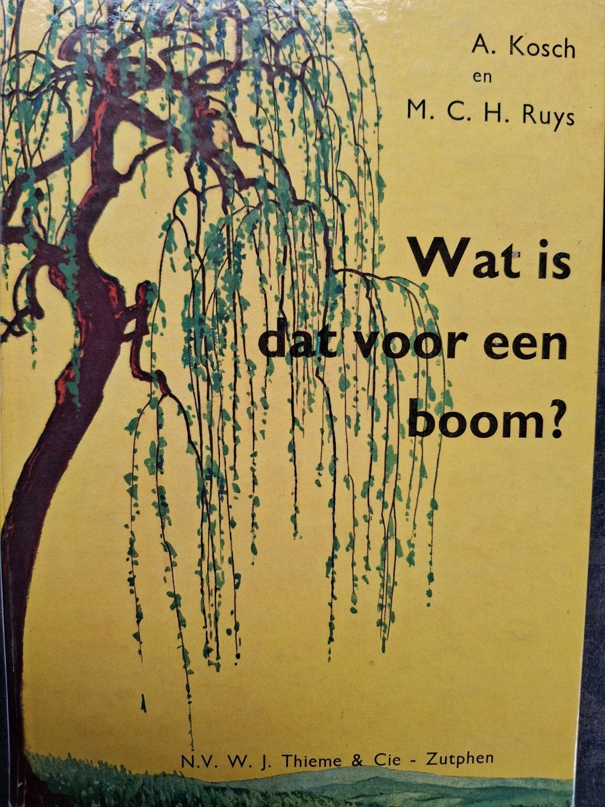 Wat is dat voor een boom Kastanje bos timmerhout brandhout, Ophalen of Verzenden, Gelezen, Bloemen, Planten en Bomen