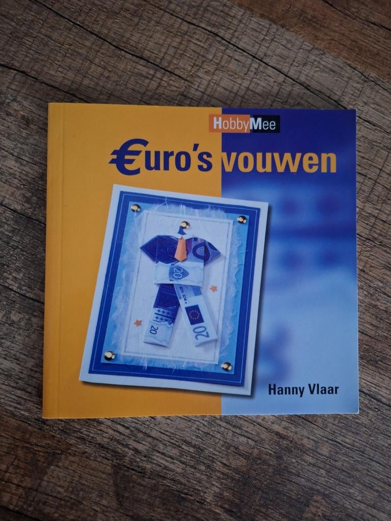 H. Vlaar - Euro's vouwen, Ophalen of Verzenden, Zo goed als nieuw, H. Vlaar