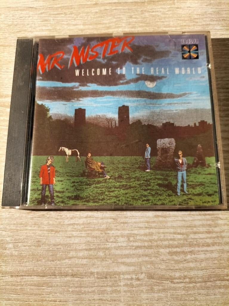 Mr Mister - welcome to the real world, Cd's en Dvd's, Cd's | Pop, Ophalen of Verzenden
