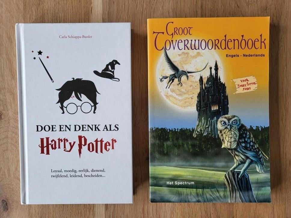 Doe en Denk als Harry Potter & Groot toverwoordenboek, Verzamelen, Ophalen of Verzenden, Zo goed als nieuw, Boek of Poster