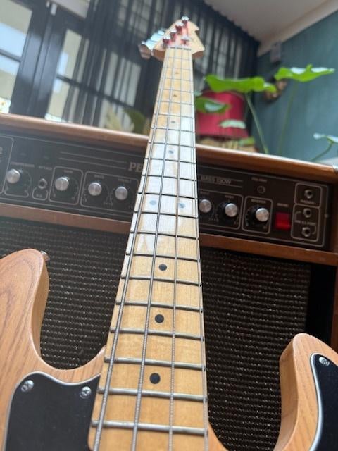 Peavey T-40 vintage basgitaar (1979), Ophalen, Gebruikt, Basgitaar, Minder dan 50 watt