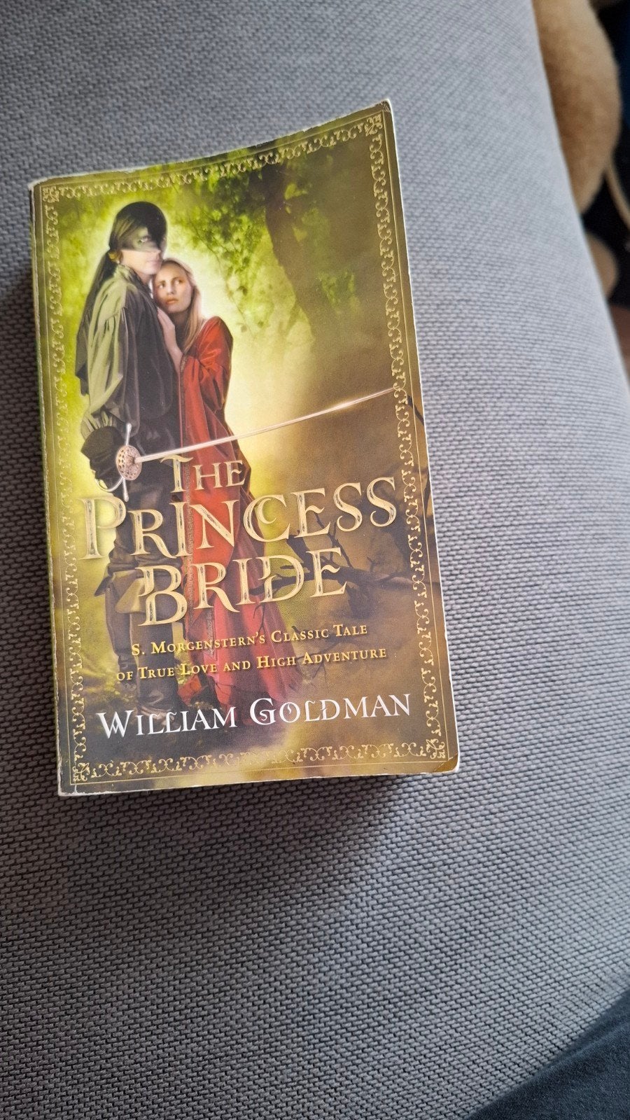 The Princess Bride William Goldman book, Ophalen of Verzenden, Zo goed als nieuw, William goldman