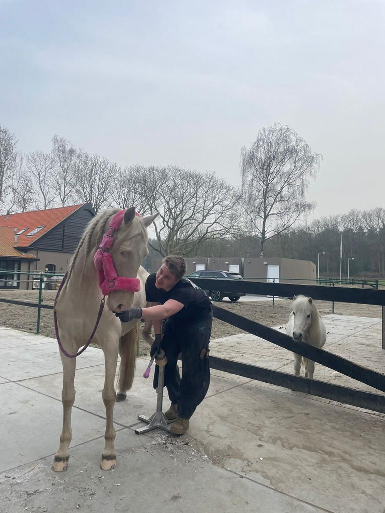 Gediplomeerde Hoefsmederij Mathijs Hoosemans zoekt klanten, Rijbewijs B, Overige uren, Overige branches, Overige vormen