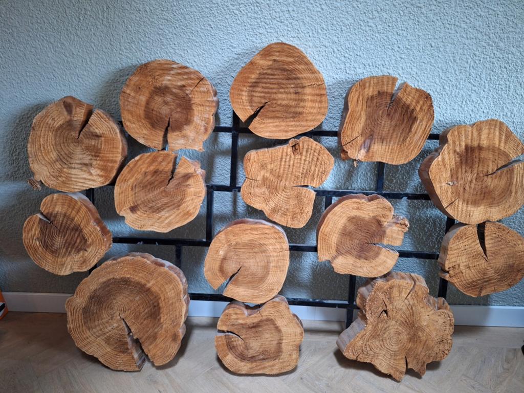 Unieke houten wanddecoratie van boomstam schijven, Wandsculptuur, Hout, Ophalen of Verzenden, Bruin