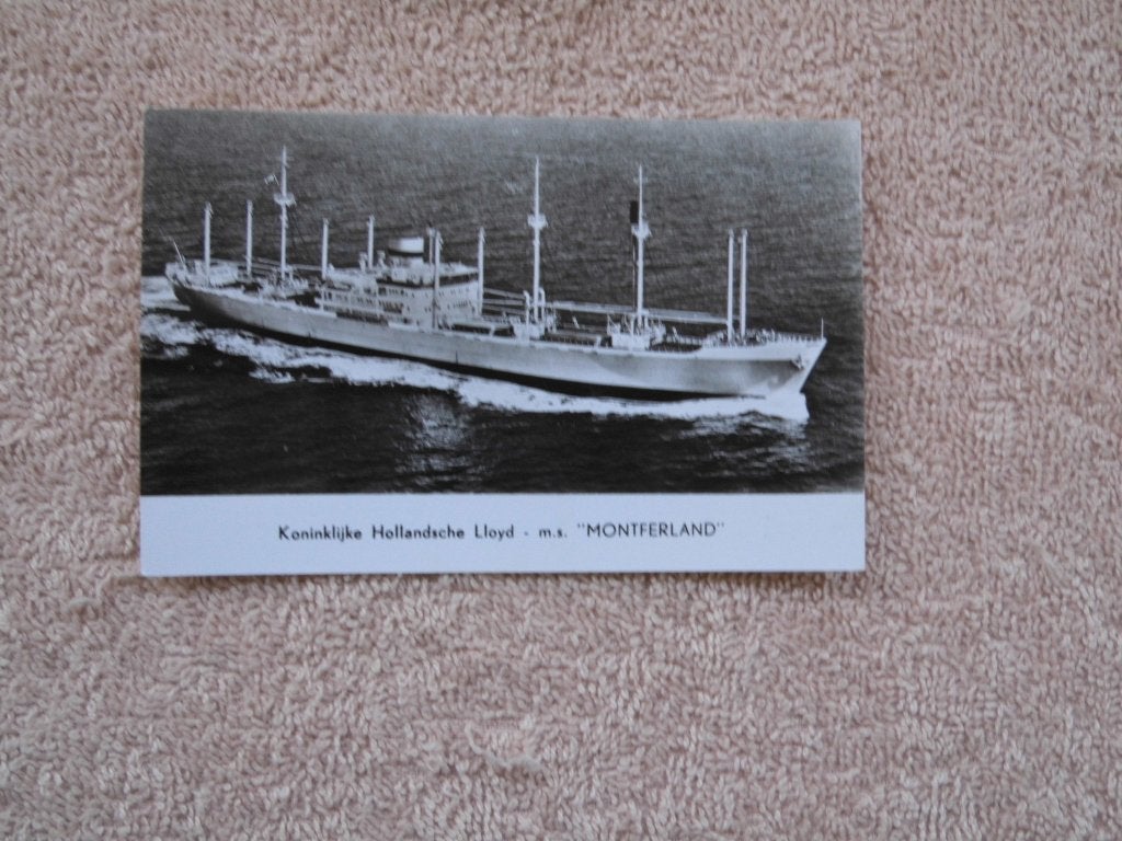 Ansicht Koninklijke Hollandsche Lloyd - m.s. "MONTFERLAND", Ophalen of Verzenden, 1940 tot 1960, Ongelopen, Voertuig