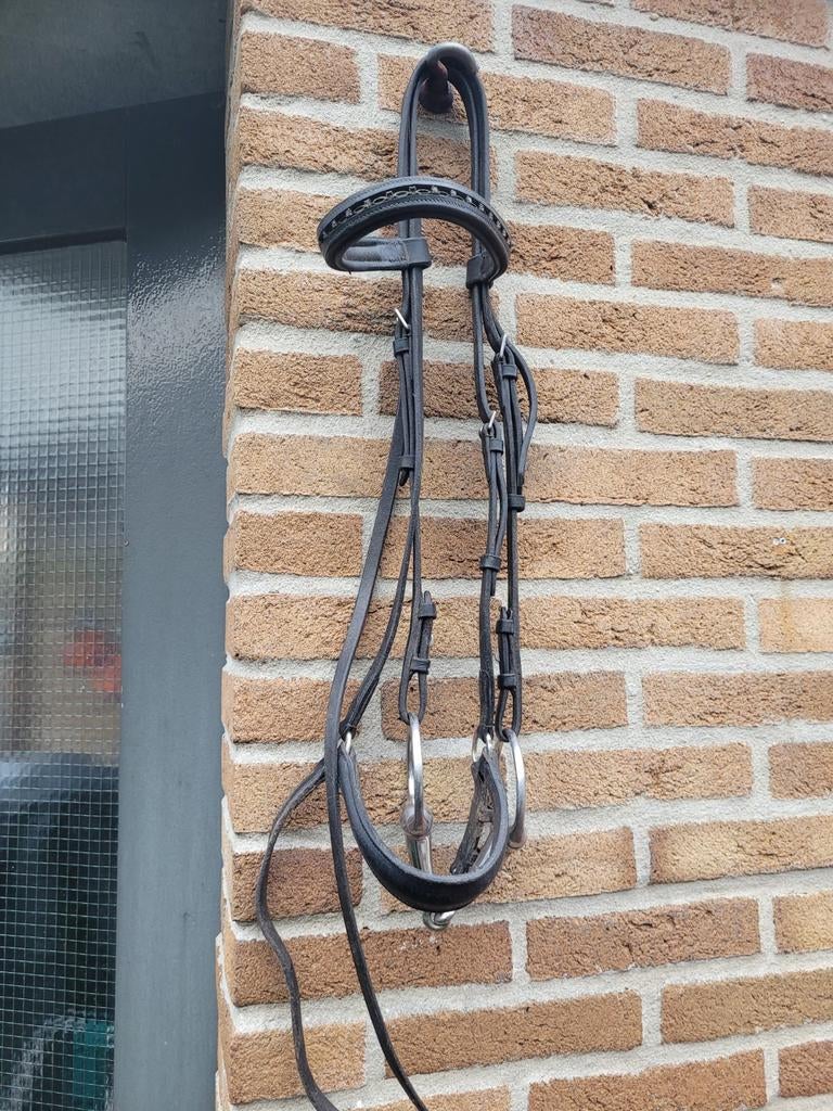 Zwart hoofdstel maat full, Dieren en Toebehoren, Ophalen of Verzenden, Zo goed als nieuw, Dressuur