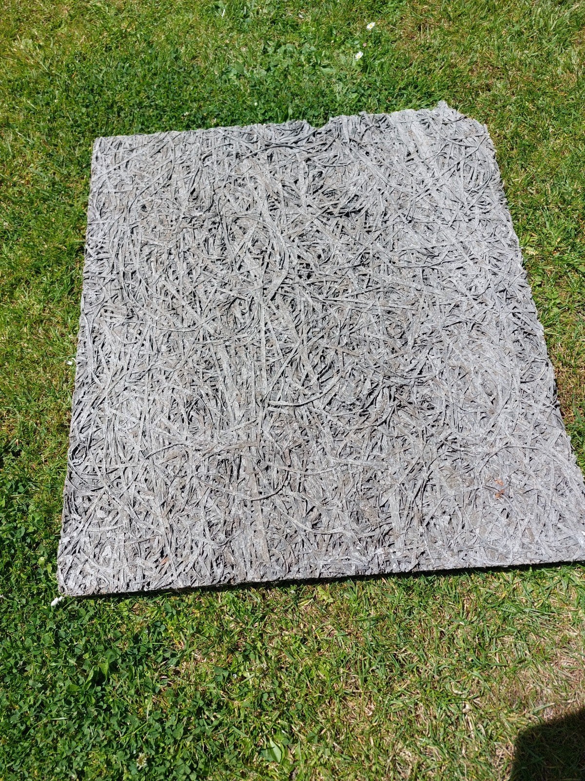 Houtwolcementplaten, Doe-het-zelf en Verbouw, Platen en Panelen, Ophalen, Gebruikt
