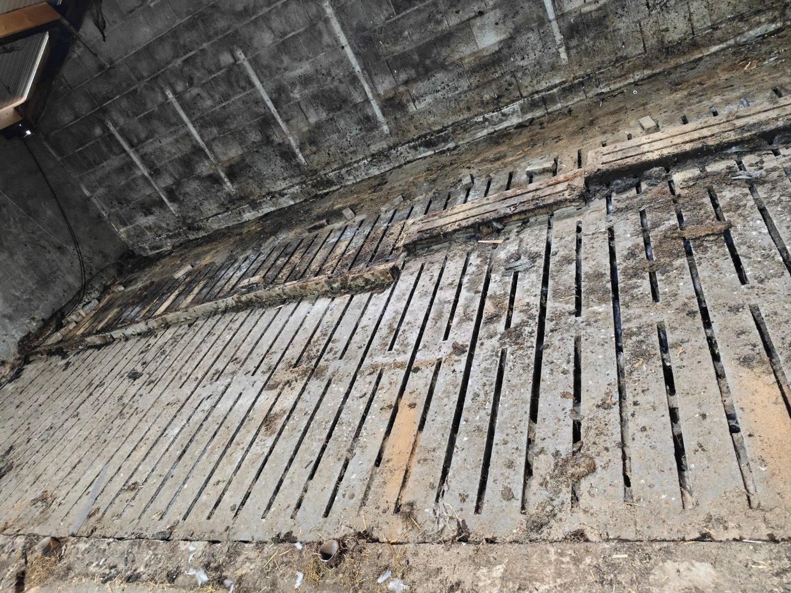 GRATIS - Rundvee/jongveerooster - 3000x330mm, Dieren en Toebehoren