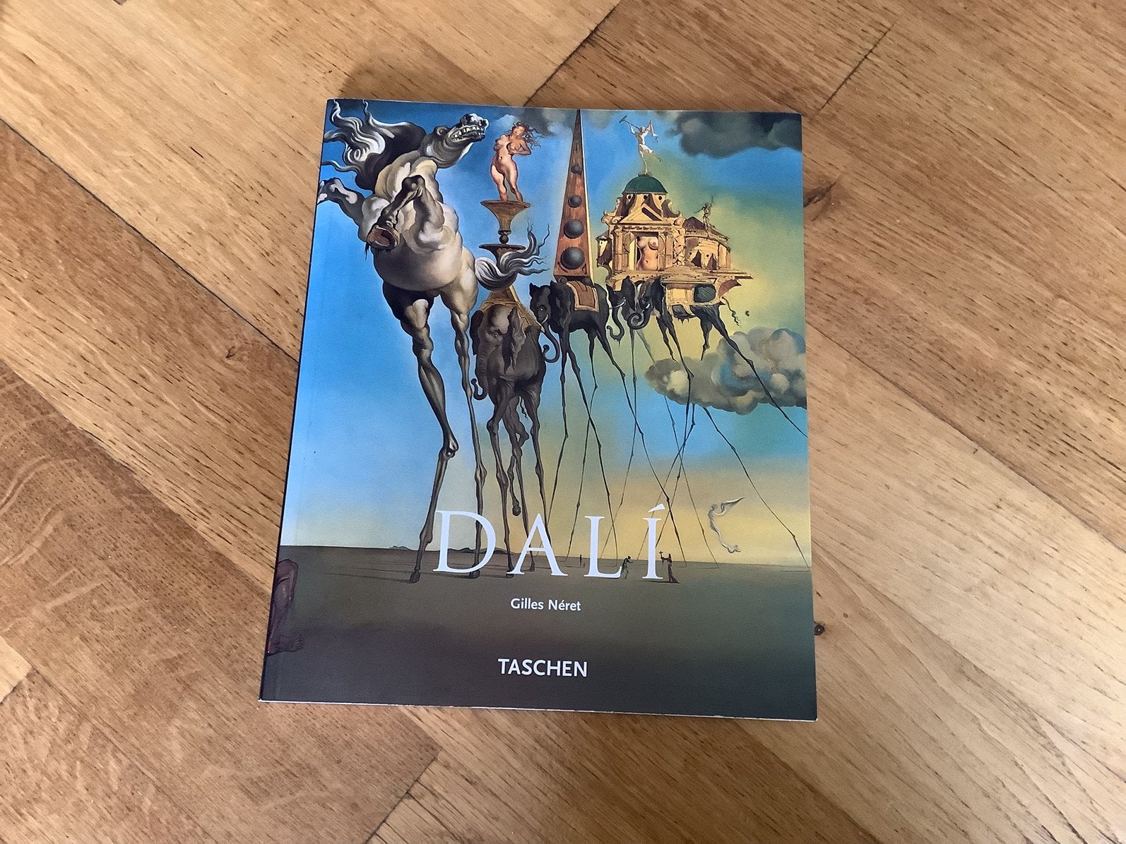 DALI, Ophalen of Verzenden, Zo goed als nieuw