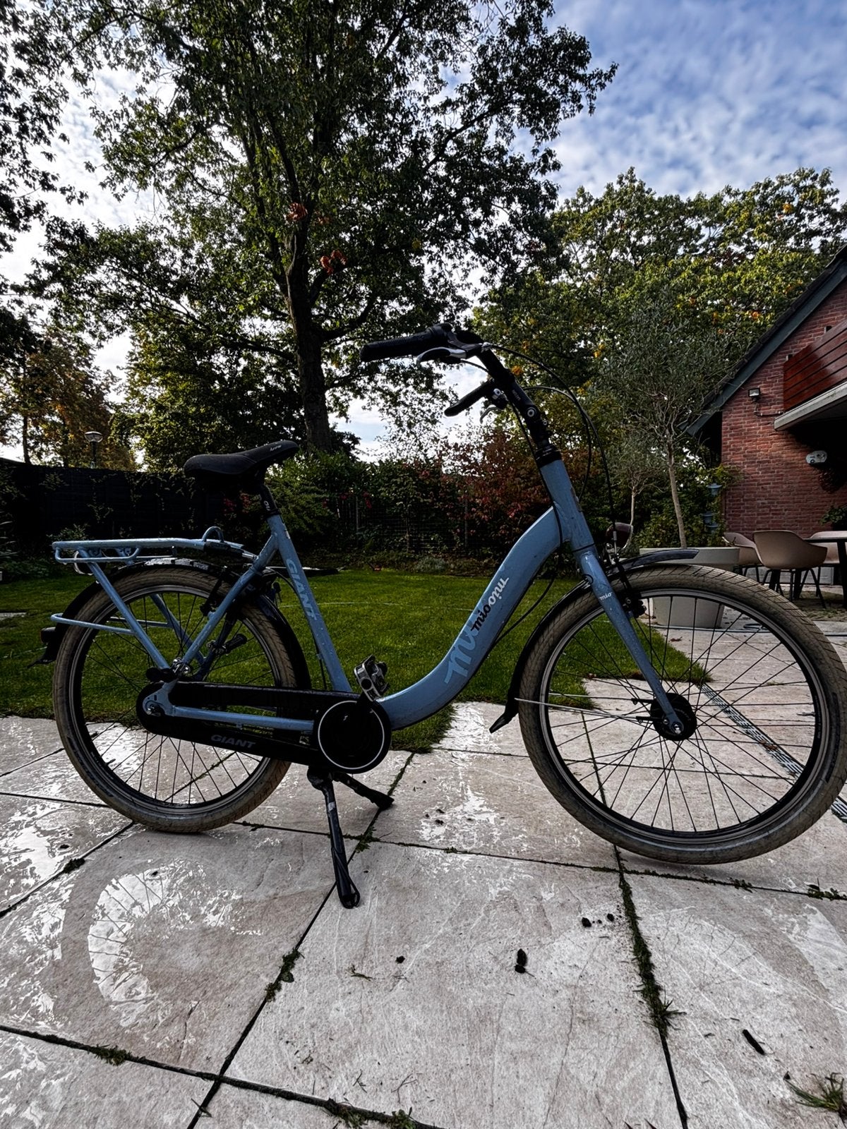 Giant Mio 26 inch | Shimano Nexus 8 | moederfiets, Ophalen, 2 zitjes, Gebruikt, Velgrem