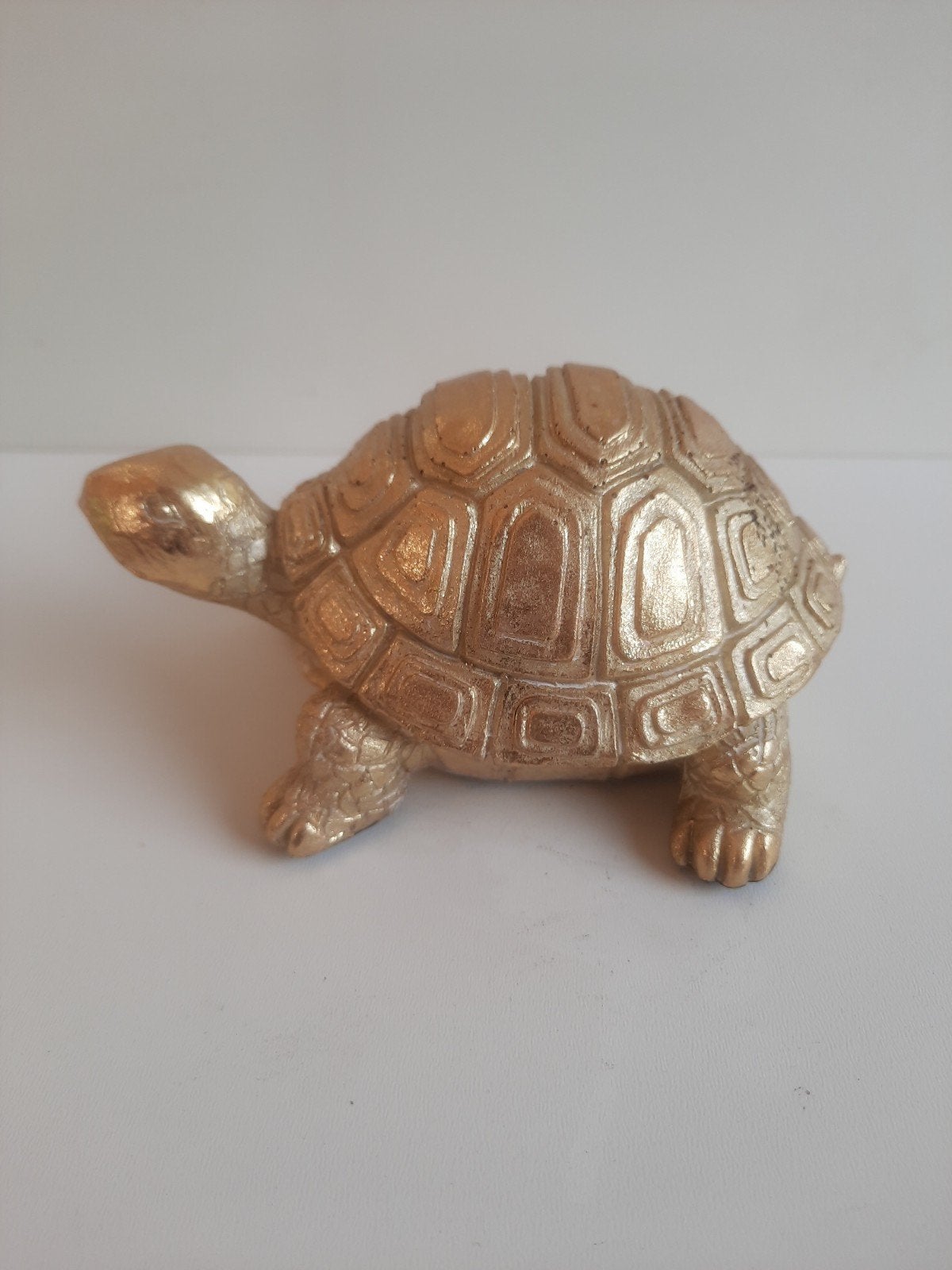 schildpad , goudkleur, Ophalen of Verzenden, Zo goed als nieuw, Dier