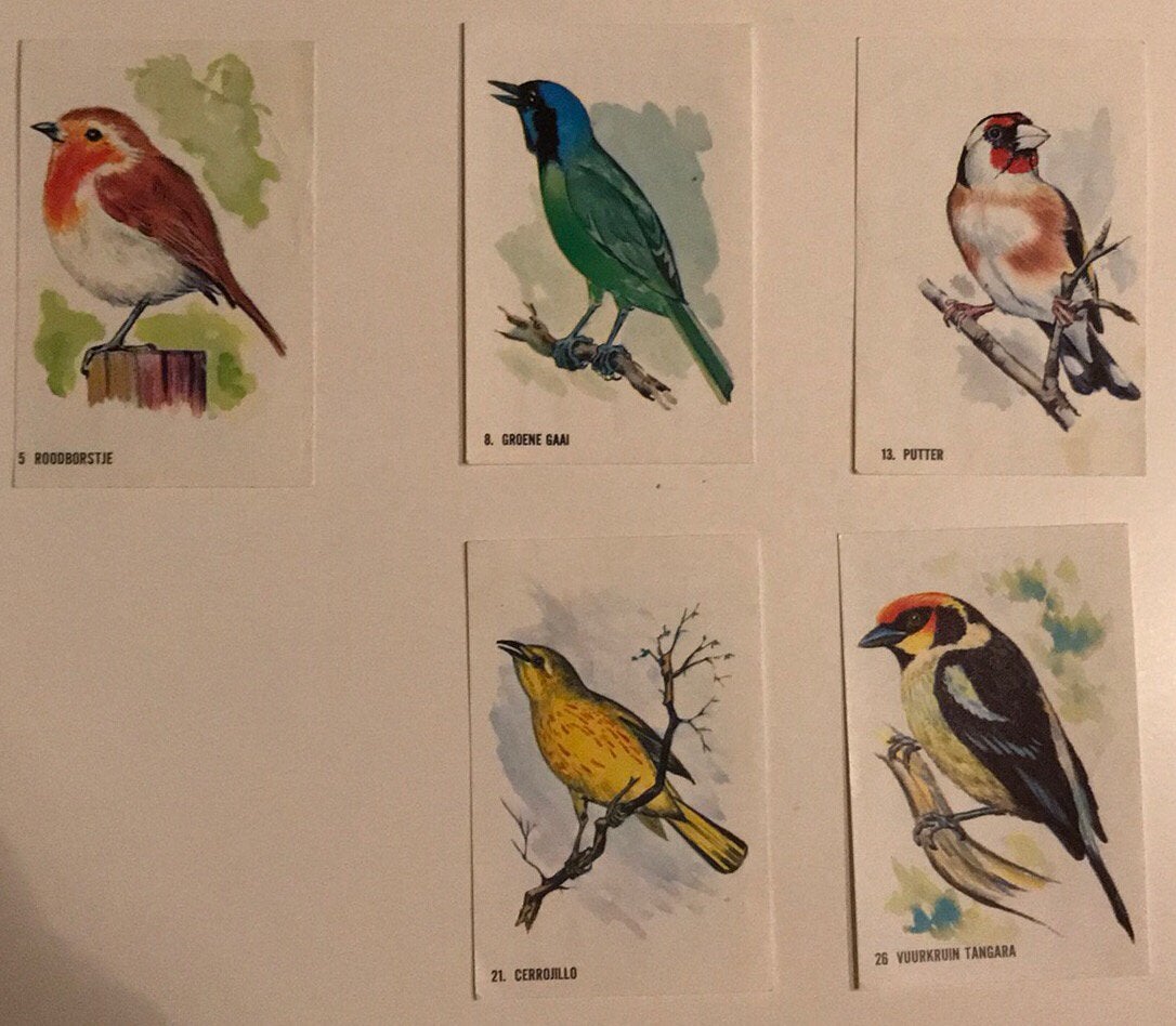Vogelplaatjes voor het plaatjesplakboek van Bolletje, Ophalen of Verzenden, Gelezen, Plaatjesalbum