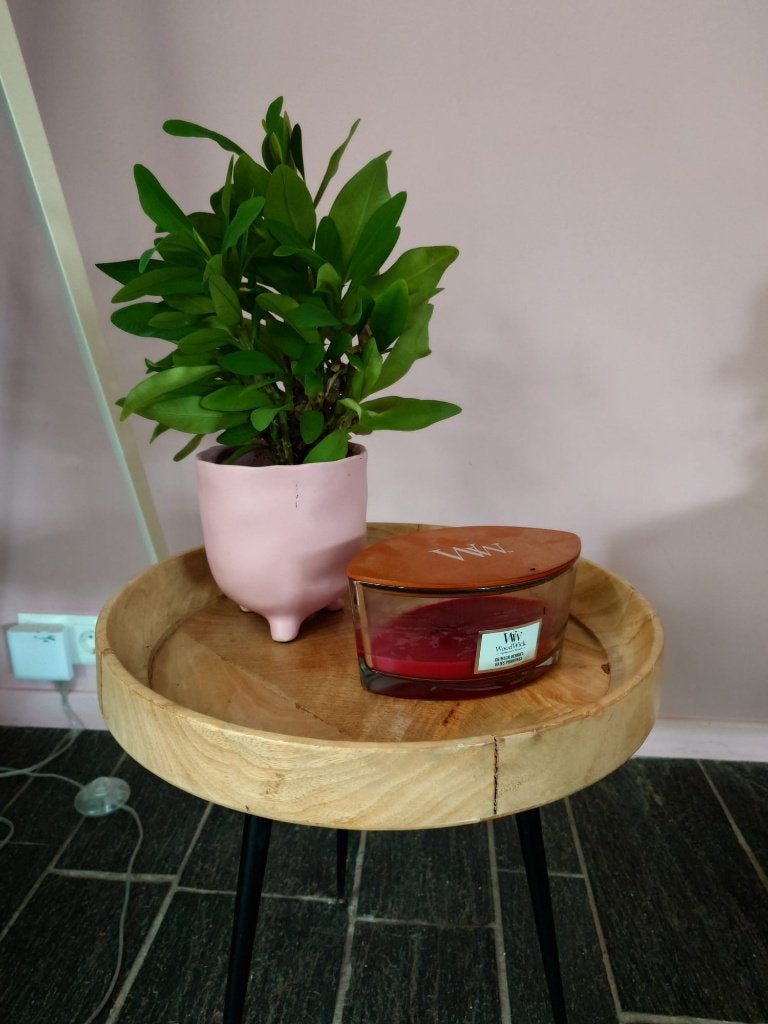 Stevige bijzet tafel rond, Minder dan 55 cm, Rond, Zo goed als nieuw, Ophalen