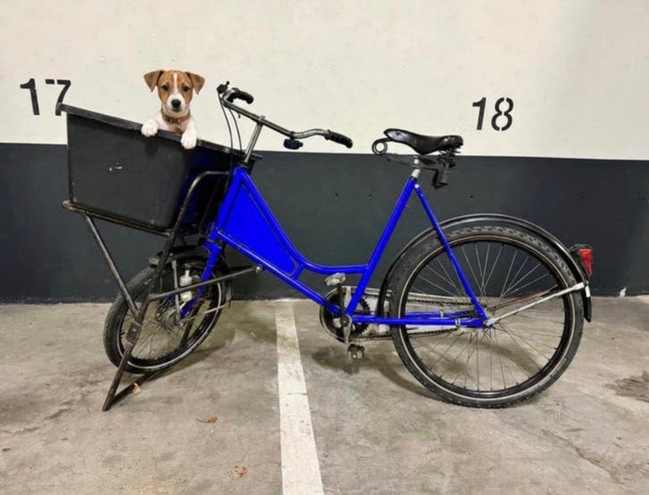Supersterke hondenfiets bakfiets transportfiets cargobike, Ophalen