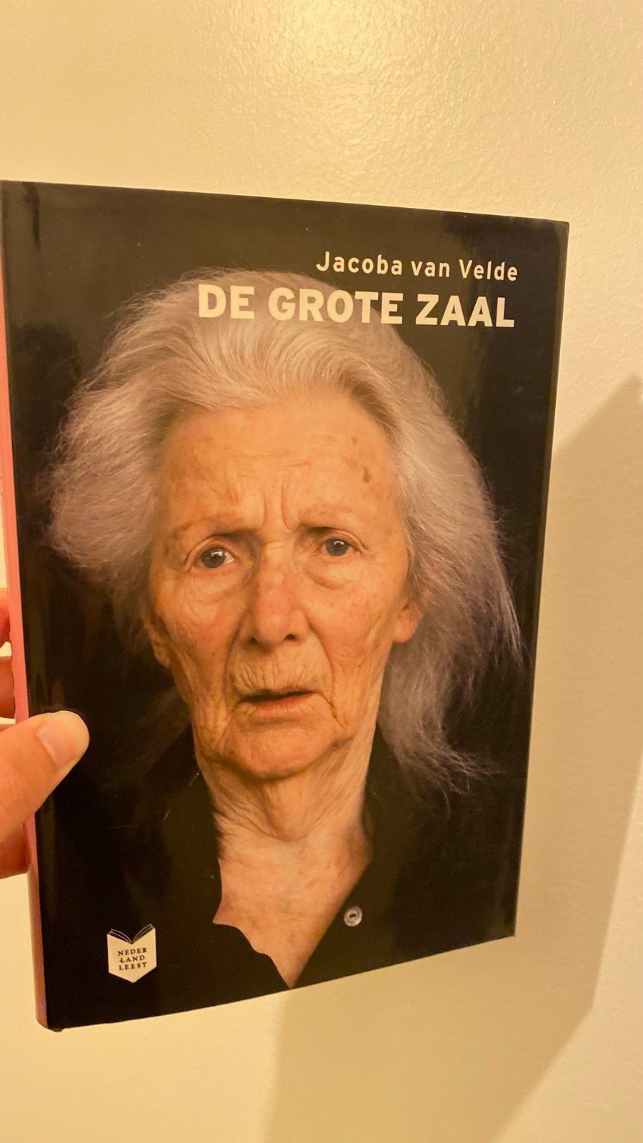 De Grote Zaal - Jacoba van Velde (Nederland Leest), Ophalen of Verzenden, Zo goed als nieuw, Nederland