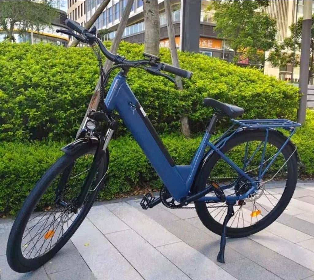 Nieuwe e-bikes in partij - partijhandel, Ophalen of Verzenden, Nieuw, Overige merken