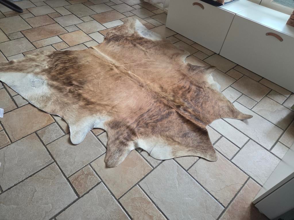 Grote koeienhuid, Ophalen