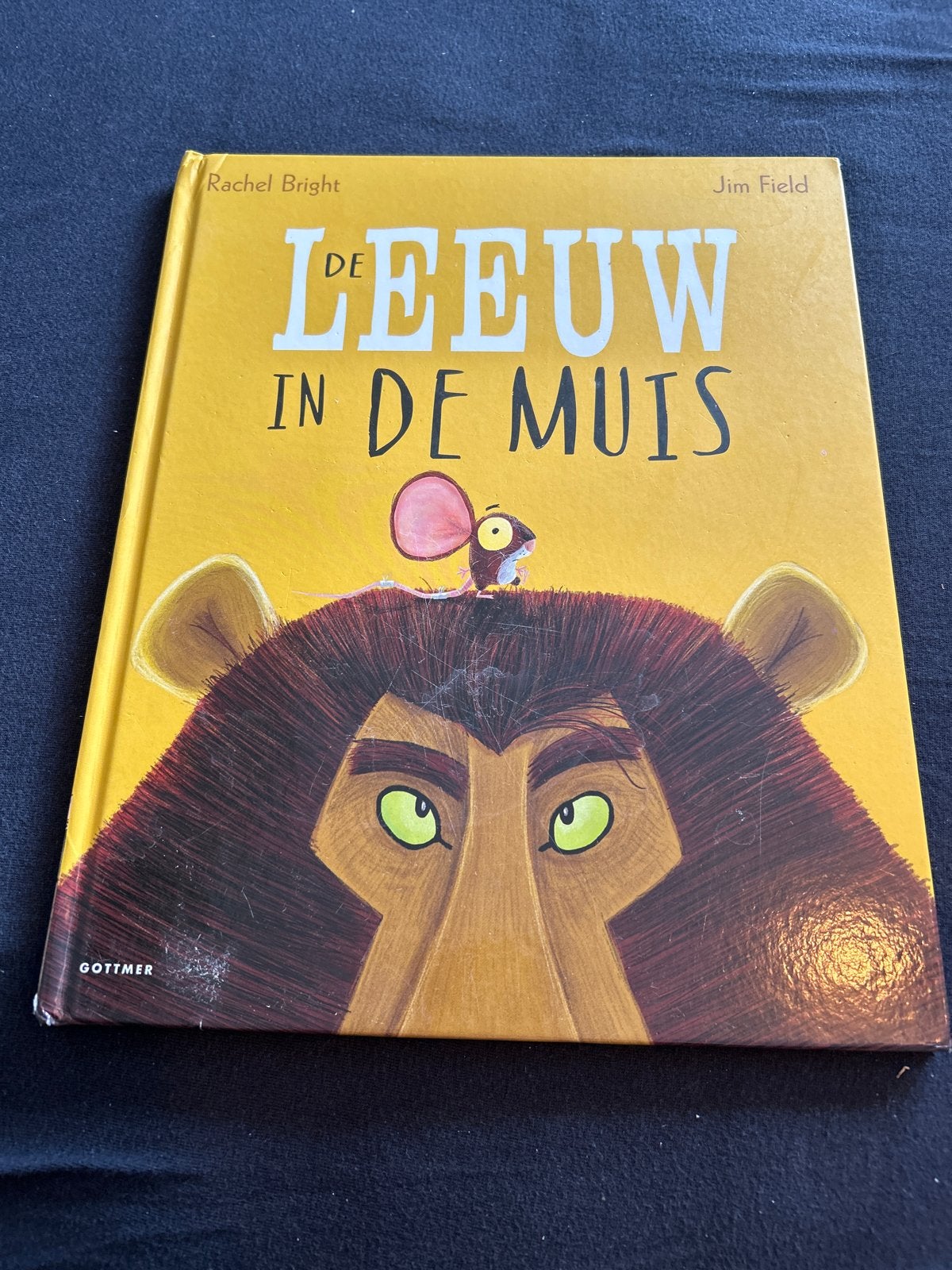 De Leeuw in de Muis - Prentenboek Rachel Bright, Boeken, Kinderboeken | Kleuters, Gelezen, Fictie algemeen, Jongen of Meisje, 4 jaar