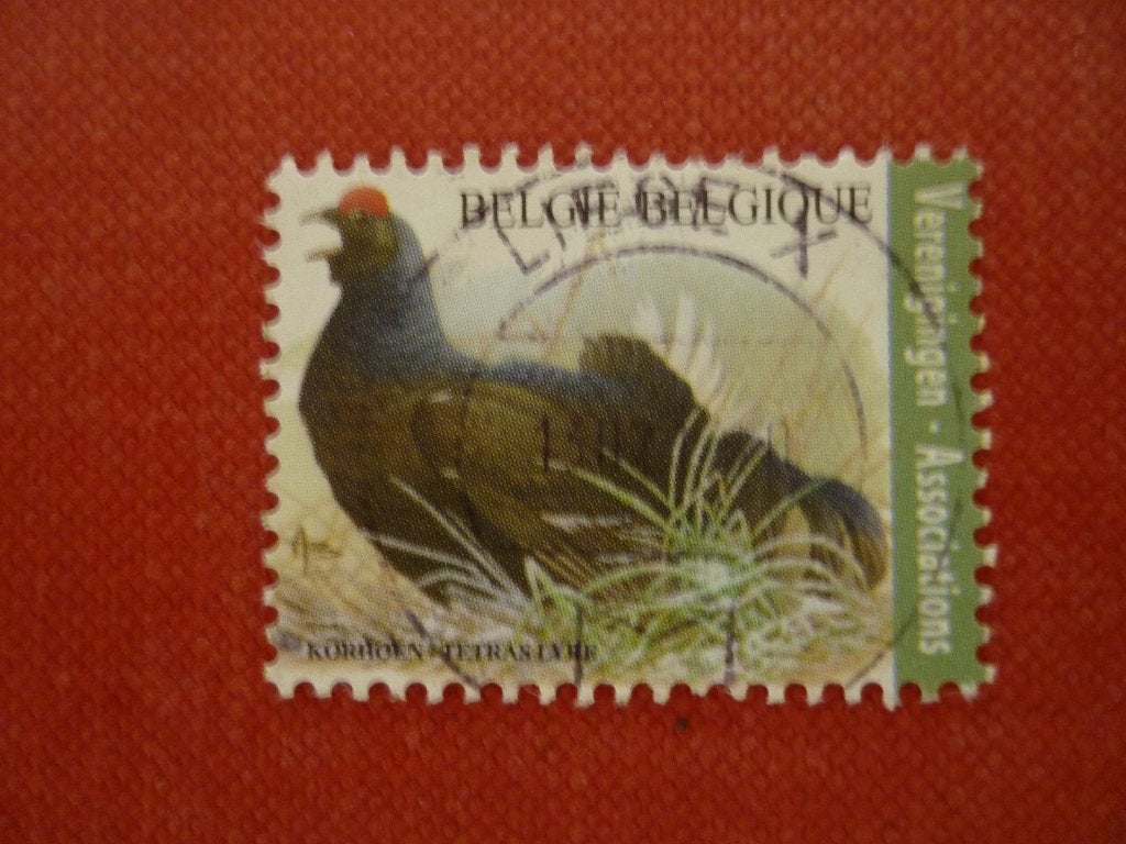 Belgie Verenigingen Buzin Korhoen gestempeld, Ophalen of Verzenden, Gestempeld