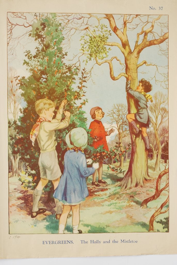 Originele vintage schoolposter uit 1938 - Hulst en Maretak, Antiek en Kunst, Antiek | Schoolplaten, Verzenden, Natuur en Biologie