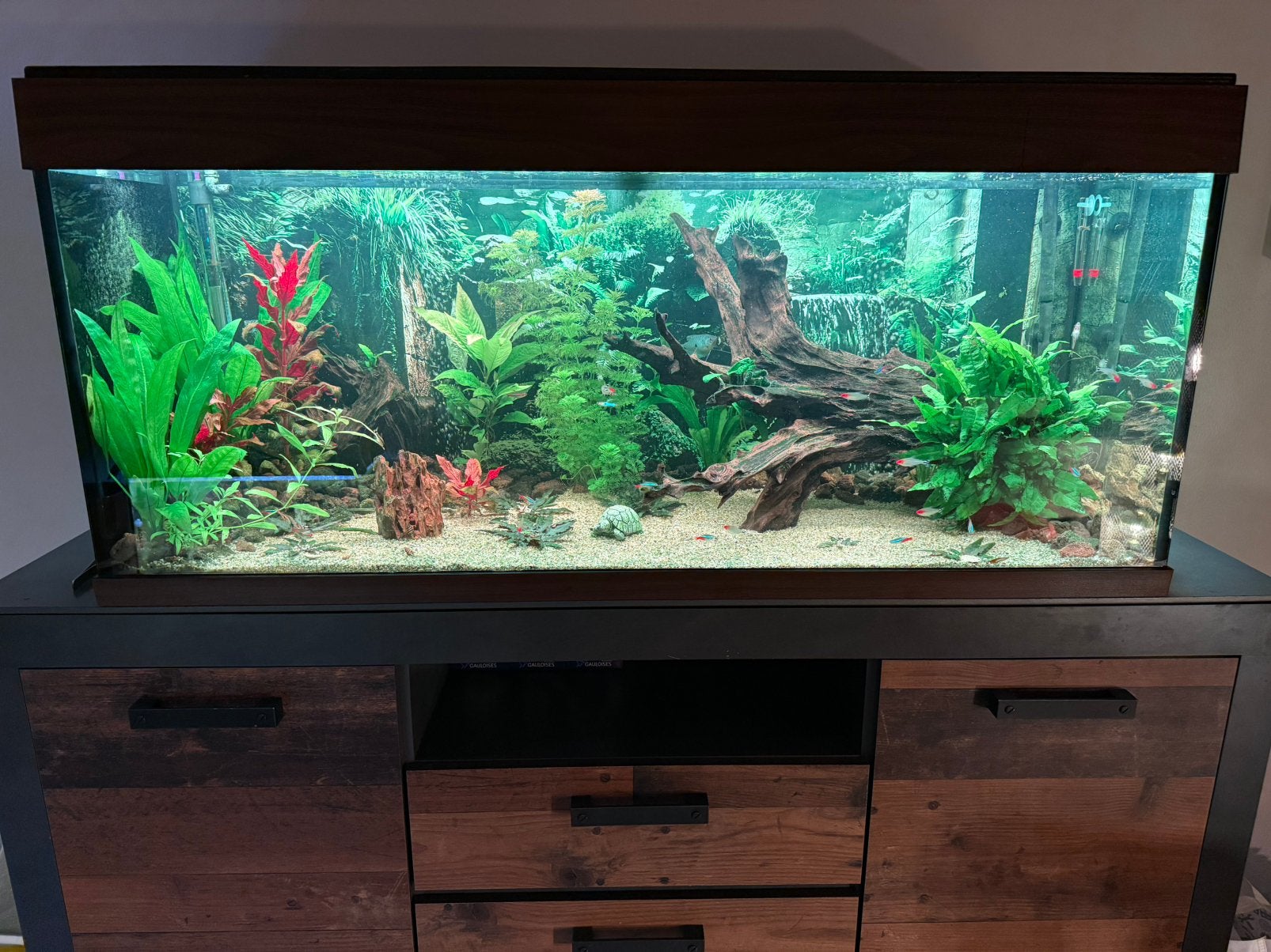 GEZOCHT! Aquariumbenodigdheden, Dieren en Toebehoren, Ophalen, Zo goed als nieuw