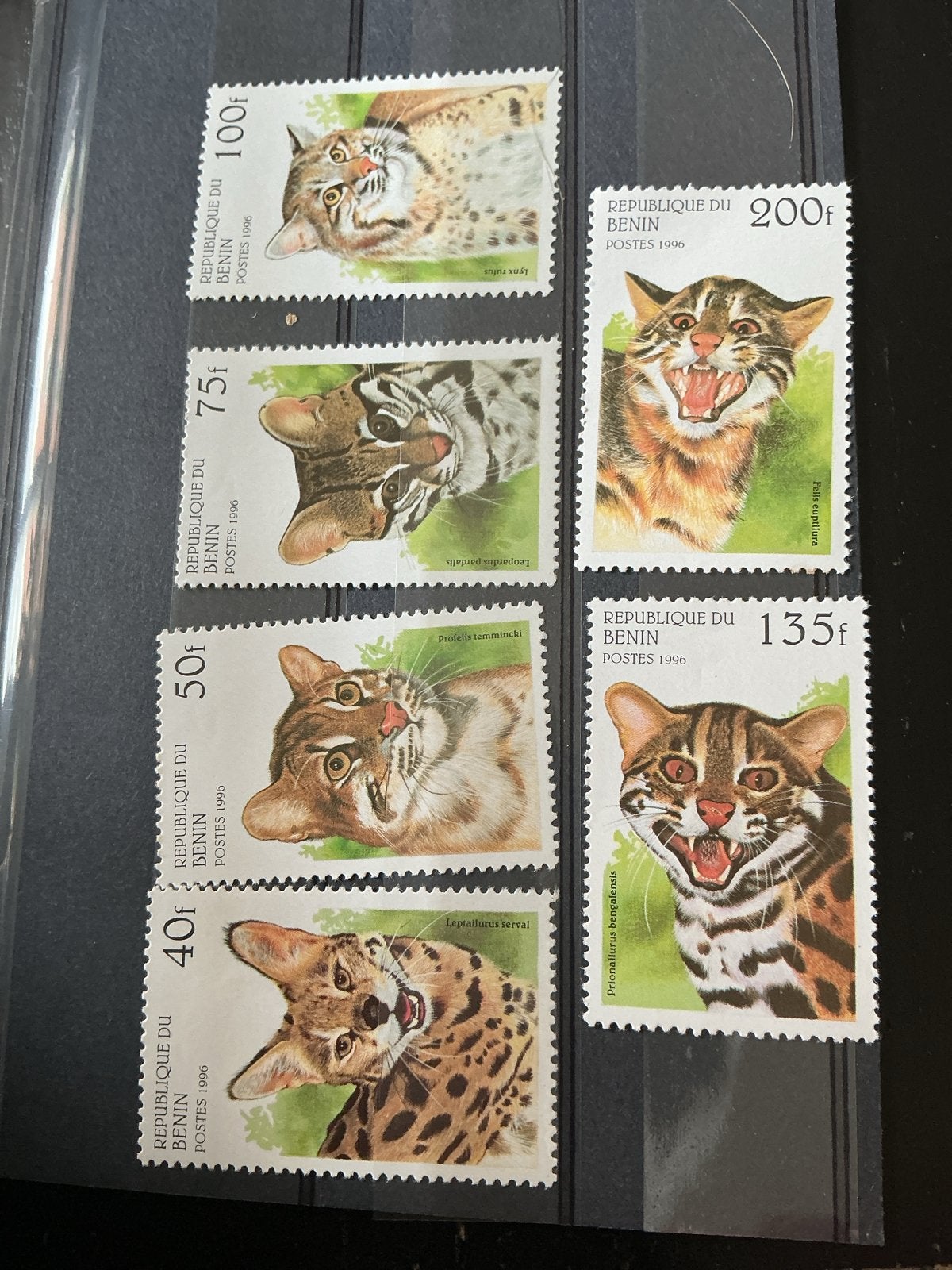 Benin postzegels 1996 - Wilde katten serie, Ophalen of Verzenden, Postfris