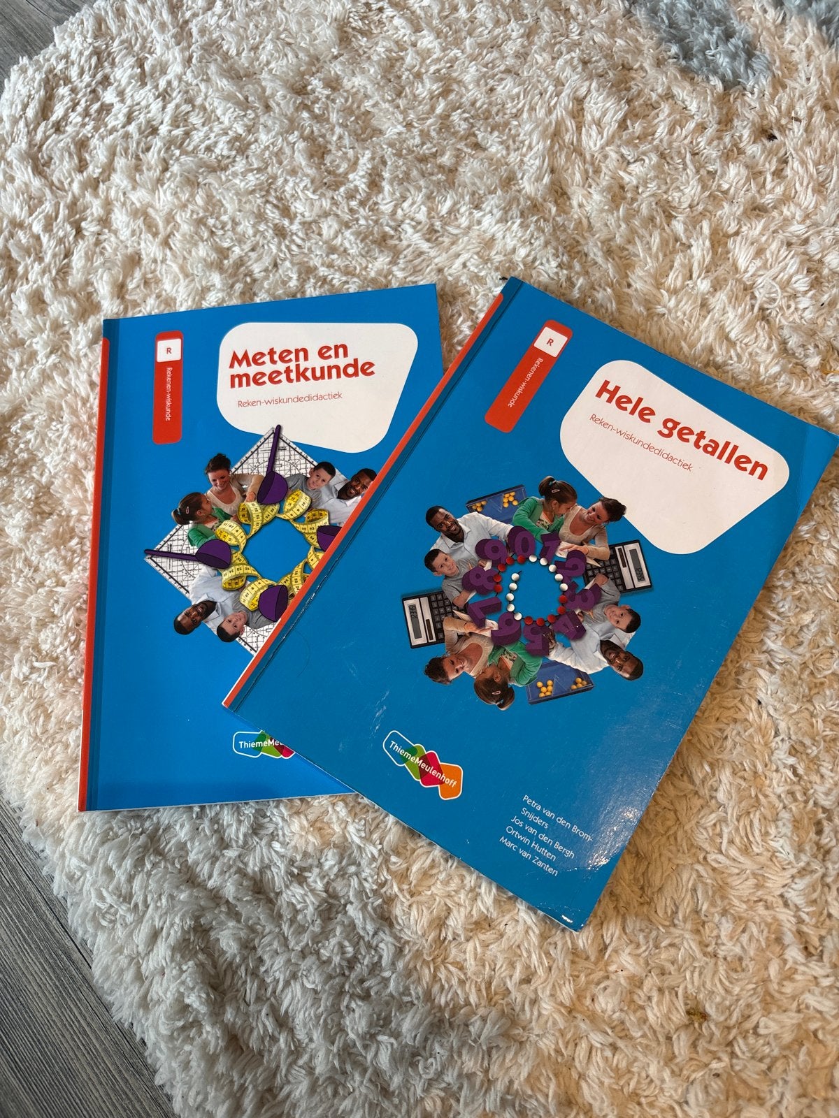 Rekenboeken Pabo: Meten en Meetkunde & Hele Getallen, Boeken, Ophalen of Verzenden, Beta, Gelezen, HBO
