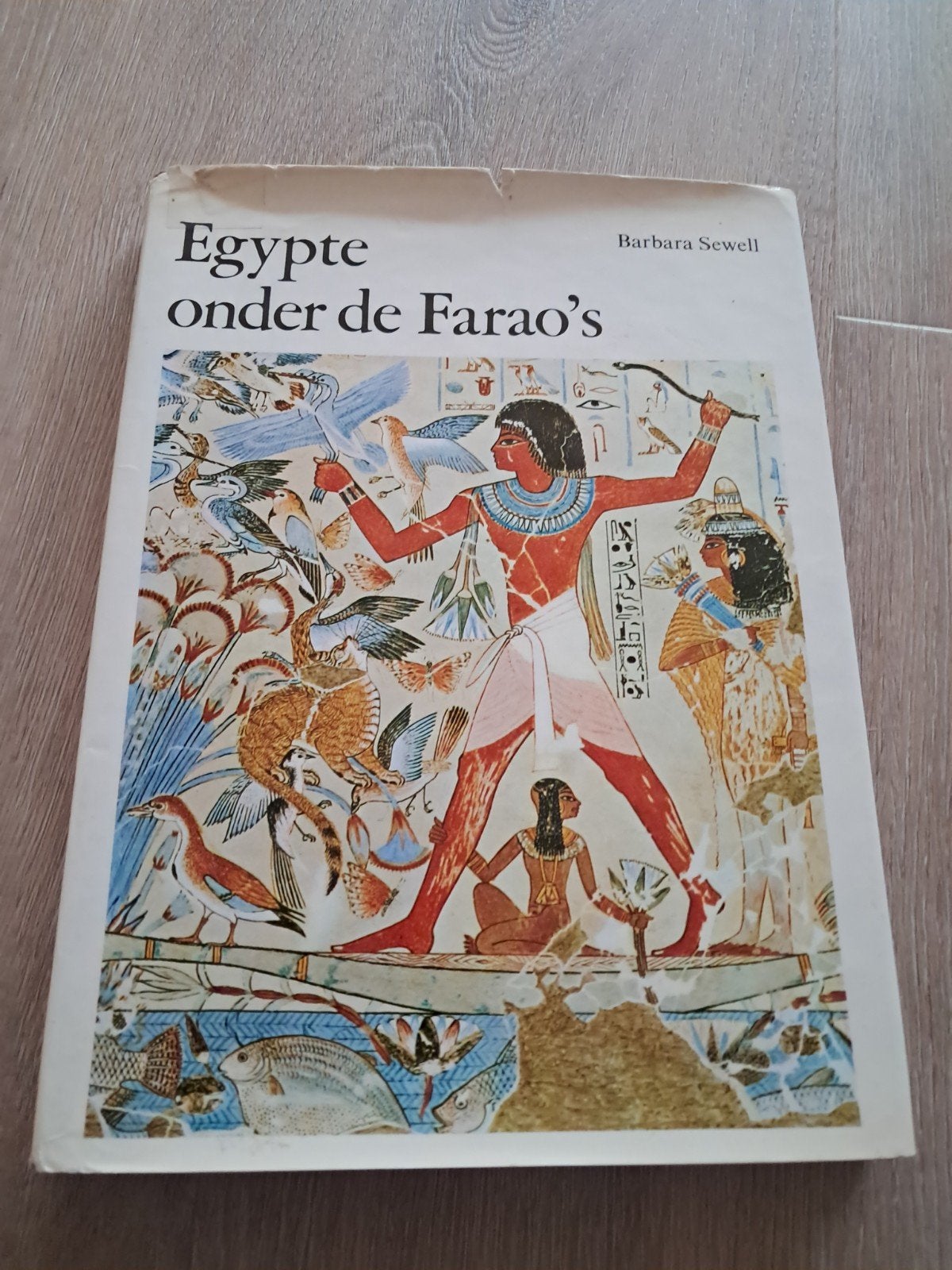 E7 Egypte onder de Farao's - Barbara Sewell (Boek), Afrika, Ophalen of Verzenden, Barbara Sewell, 20e eeuw of later