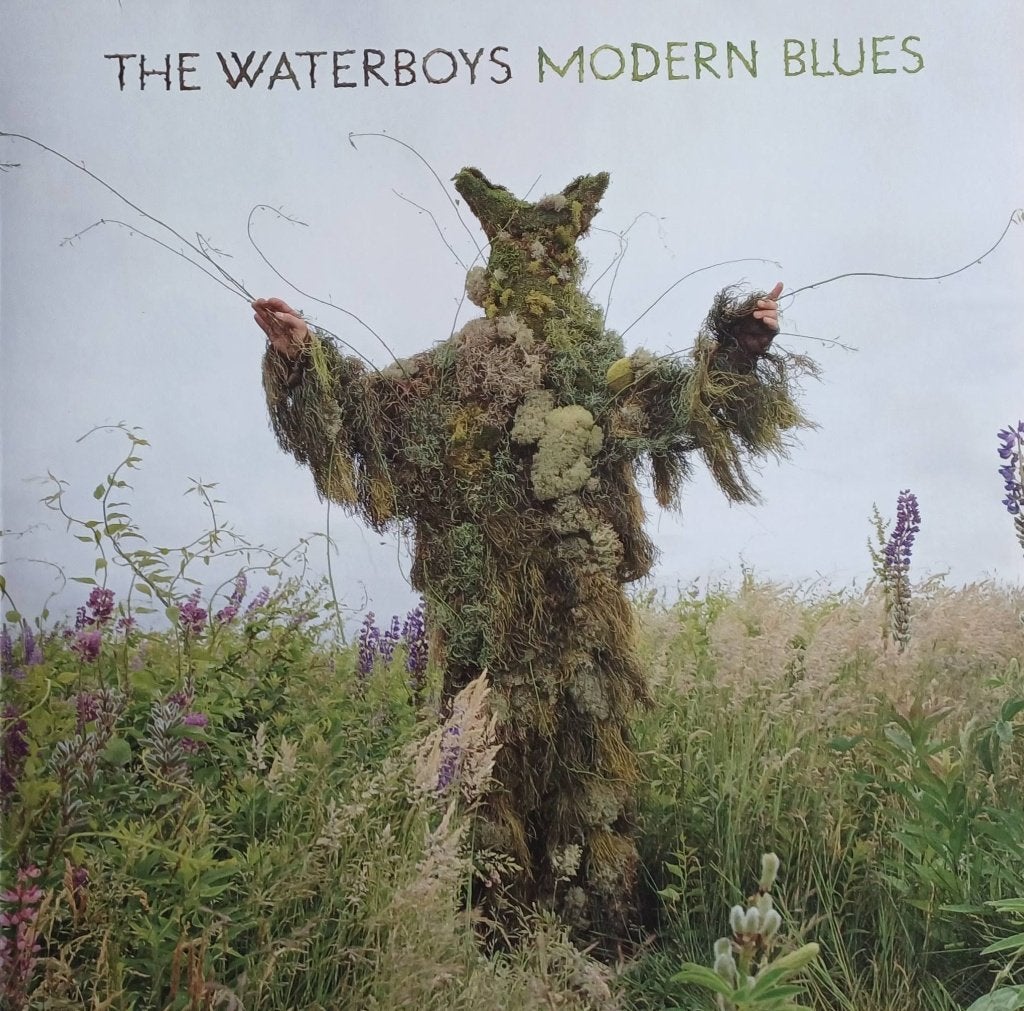 2LP: The Waterboys - Modern Times (2015), Beschermende buitenhoes, Ophalen of Verzenden, Zo goed als nieuw, Dubbel-LP
