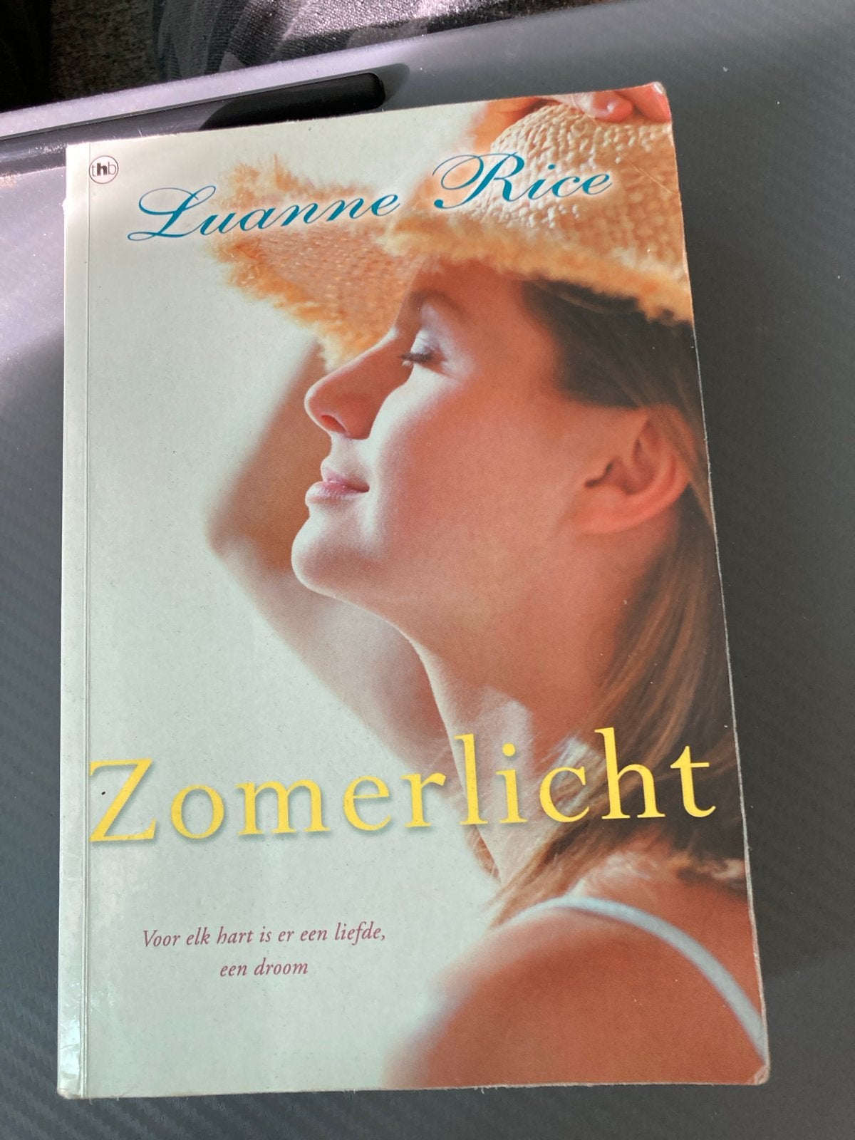 Zomerlicht - Luanne Rice (Roman), Ophalen of Verzenden, Gelezen