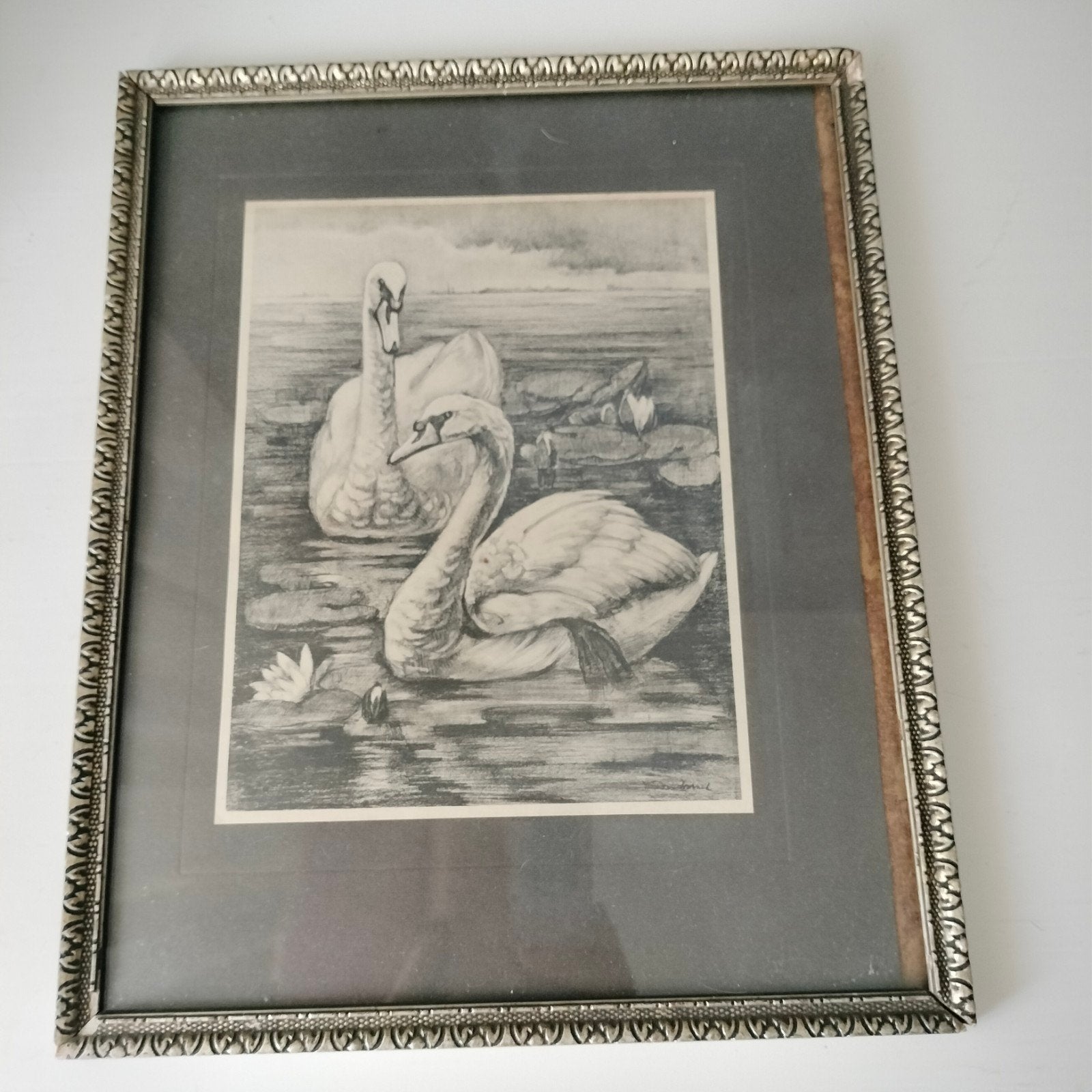 oud prentje Zwanen, Ophalen