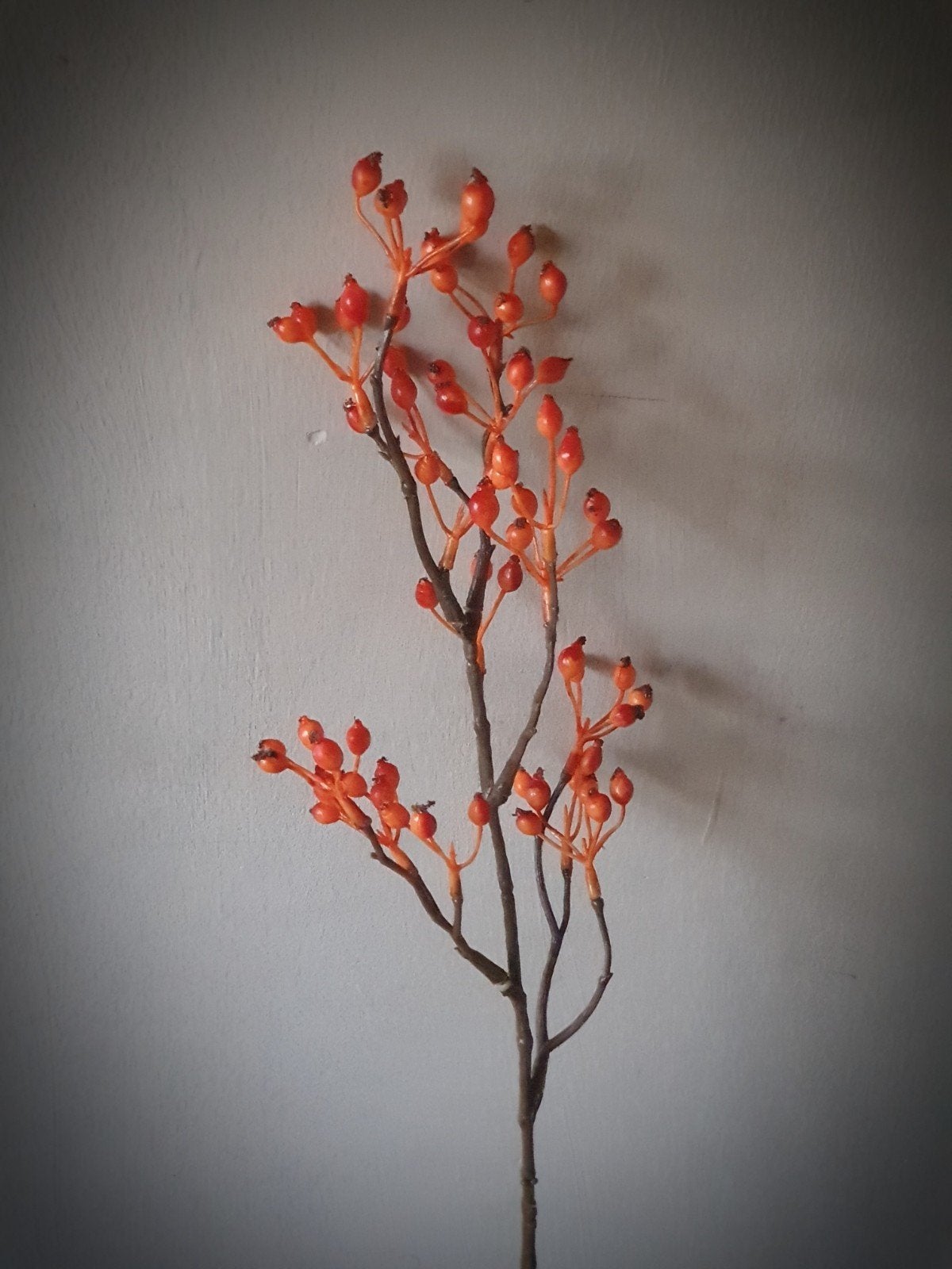 Kunst rozenbottel takken  - tak 61 cm - oranje, Ophalen of Verzenden, Nieuw, Kunsttak, 61 cm