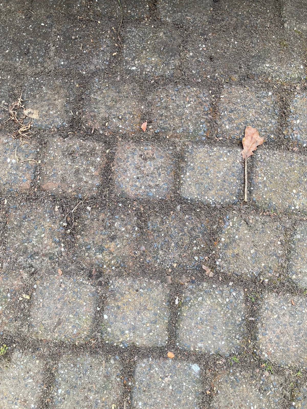 Ruim 10m2, Tuin en Terras, Tegels en Klinkers, Ophalen, Zo goed als nieuw, Beton, Klinkers