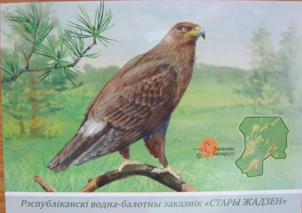 Arend uit Wit Rusland op ansichtkaart, Ophalen of Verzenden, 1980 tot heden, Gelopen, Vogel