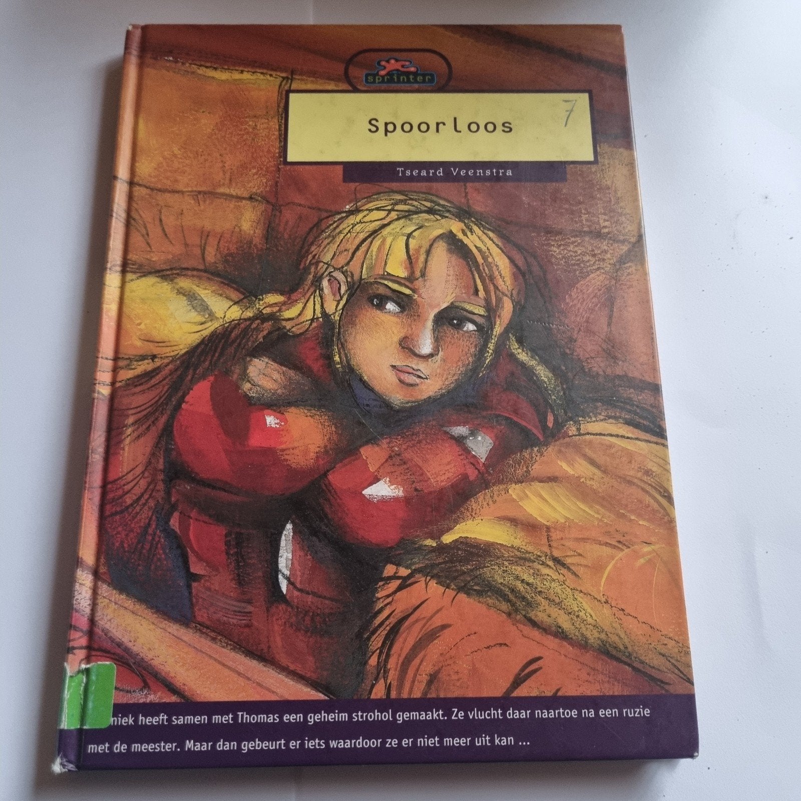 Spoorloos - Tseard Veenstra (Jeugdboek) AVI E7, Boeken, Kinderboeken | Jeugd | 10 tot 12 jaar, Gelezen, Ophalen of Verzenden