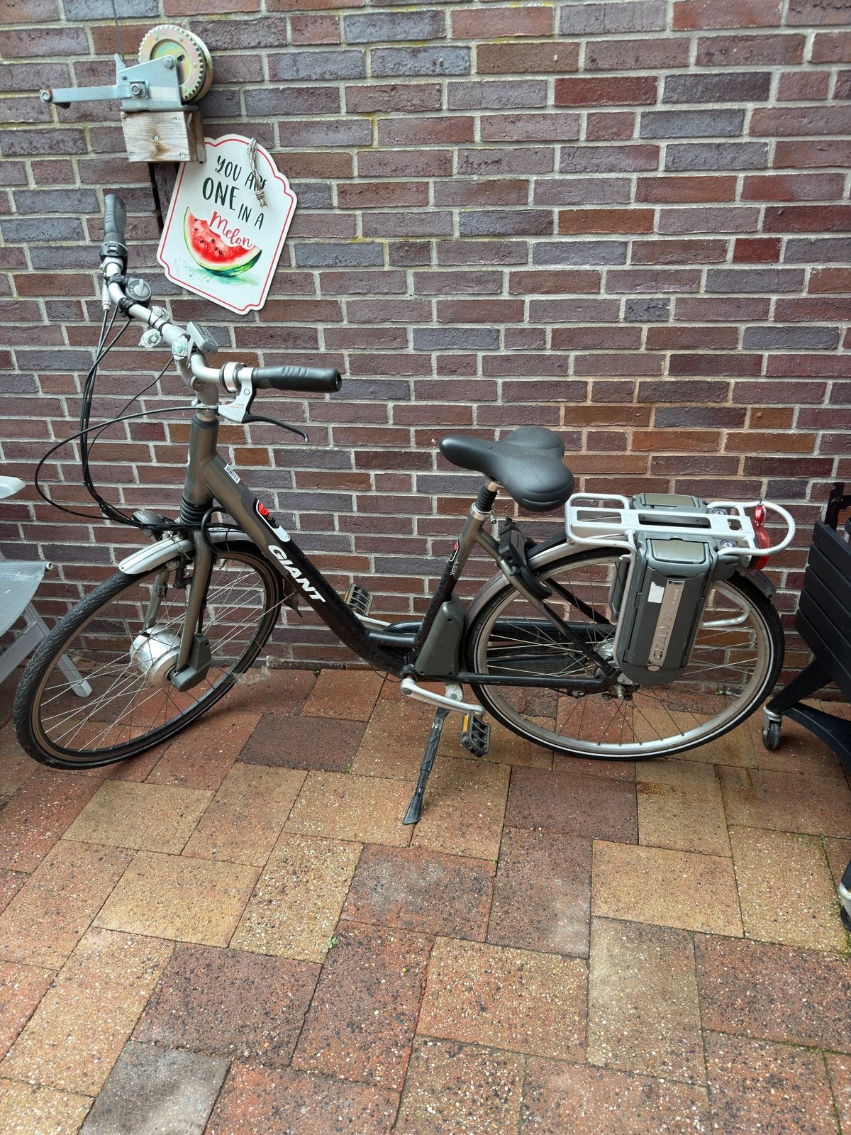 Elektrische giant fiets loop of sloop, Ophalen, Minder dan 30 km per accu, Gebruikt, Giant