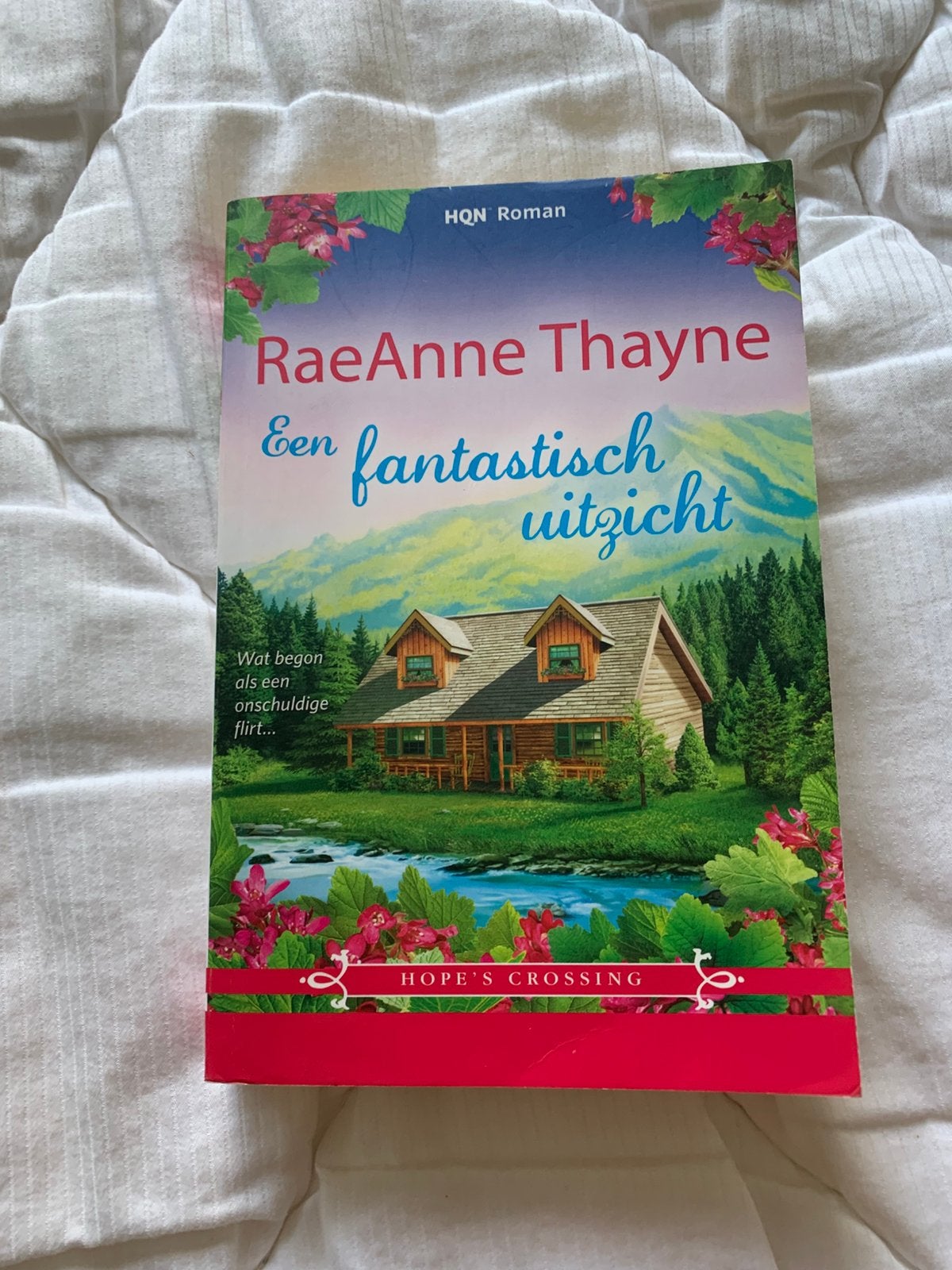 RaeAnne Thayne - Een fantastisch uitzicht (Hope's Crossing), Verzenden, Zo goed als nieuw, Nederland