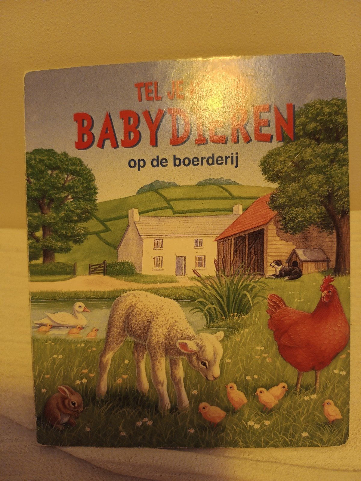 Tel je baby dieren op de boerderij - Zo goed als nieuw, Ophalen of Verzenden, Zo goed als nieuw, 1 tot 2 jaar