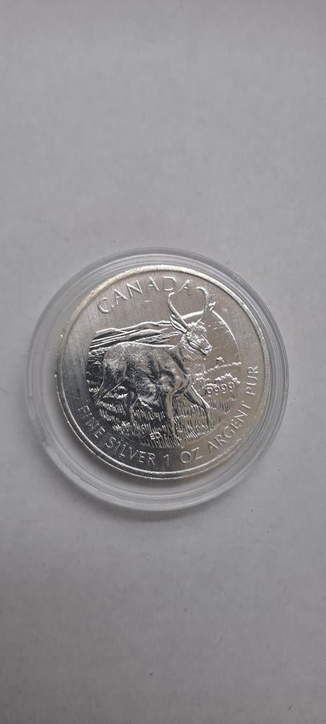 Canada 1 oz Zilveren Hert 2013 Munt, Ophalen of Verzenden