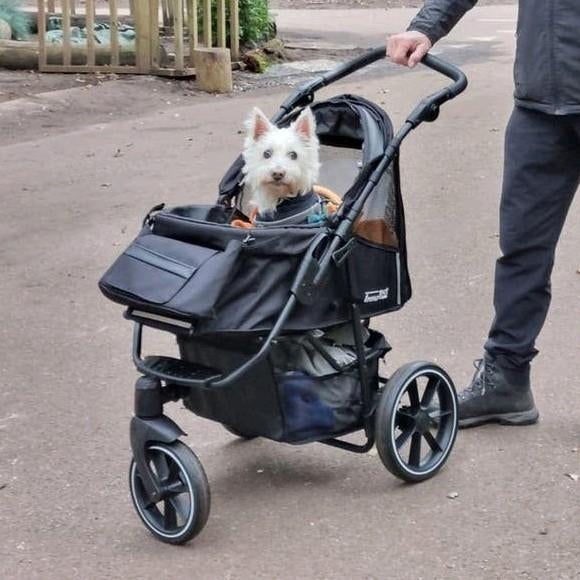 Wandelwagen met grote wielen voor honden en poezen inklapbaa, Dieren en Toebehoren, Ophalen, Nieuw