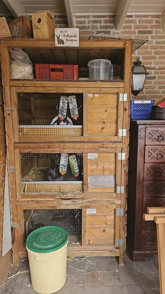 Te koop, Dieren en Toebehoren, Ophalen, Gebruikt, Overige typen