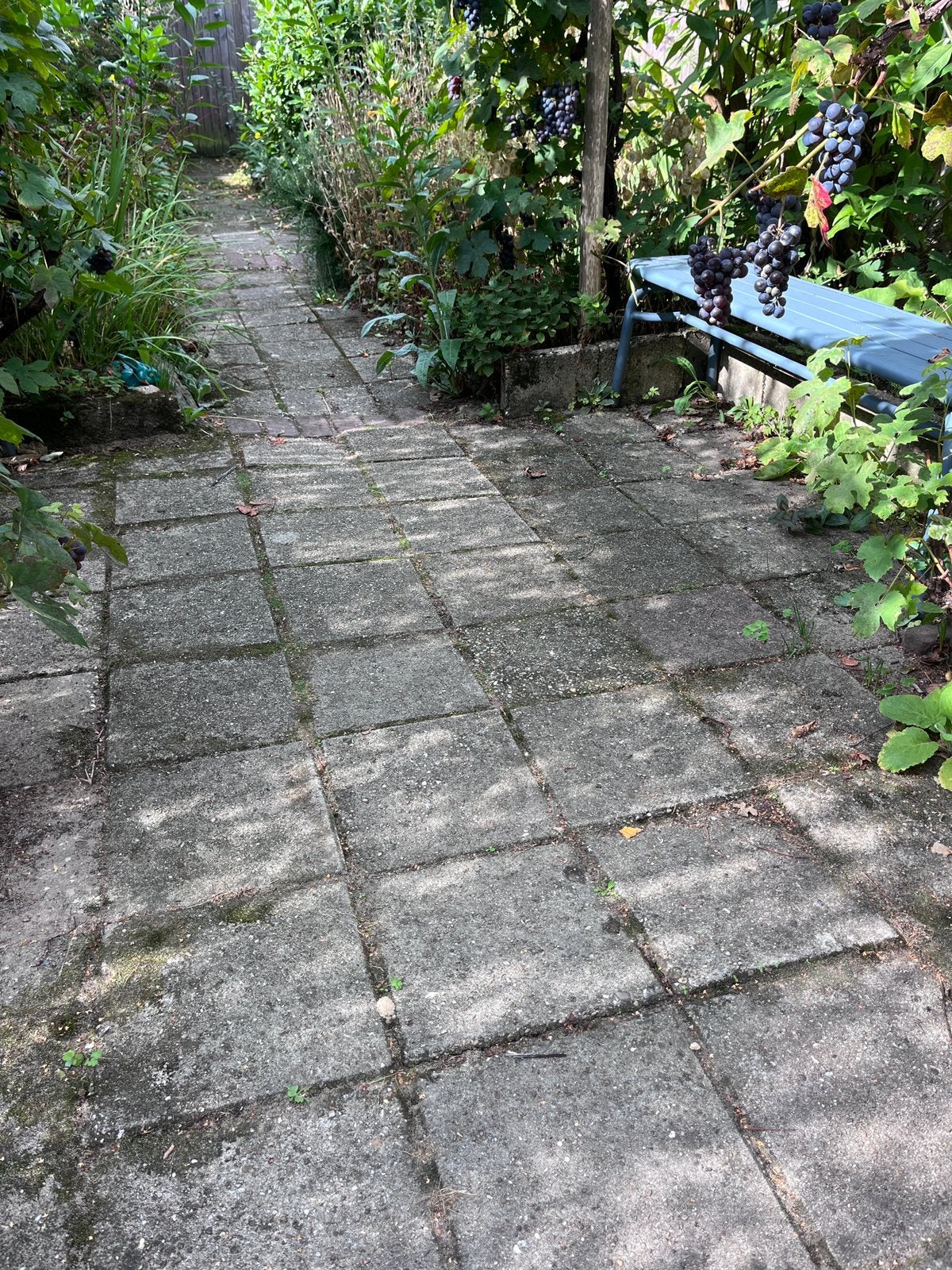 Gratis partij 30x30 tegels (container vol!), Ophalen, Gebruikt, 10 m² of meer, Beton