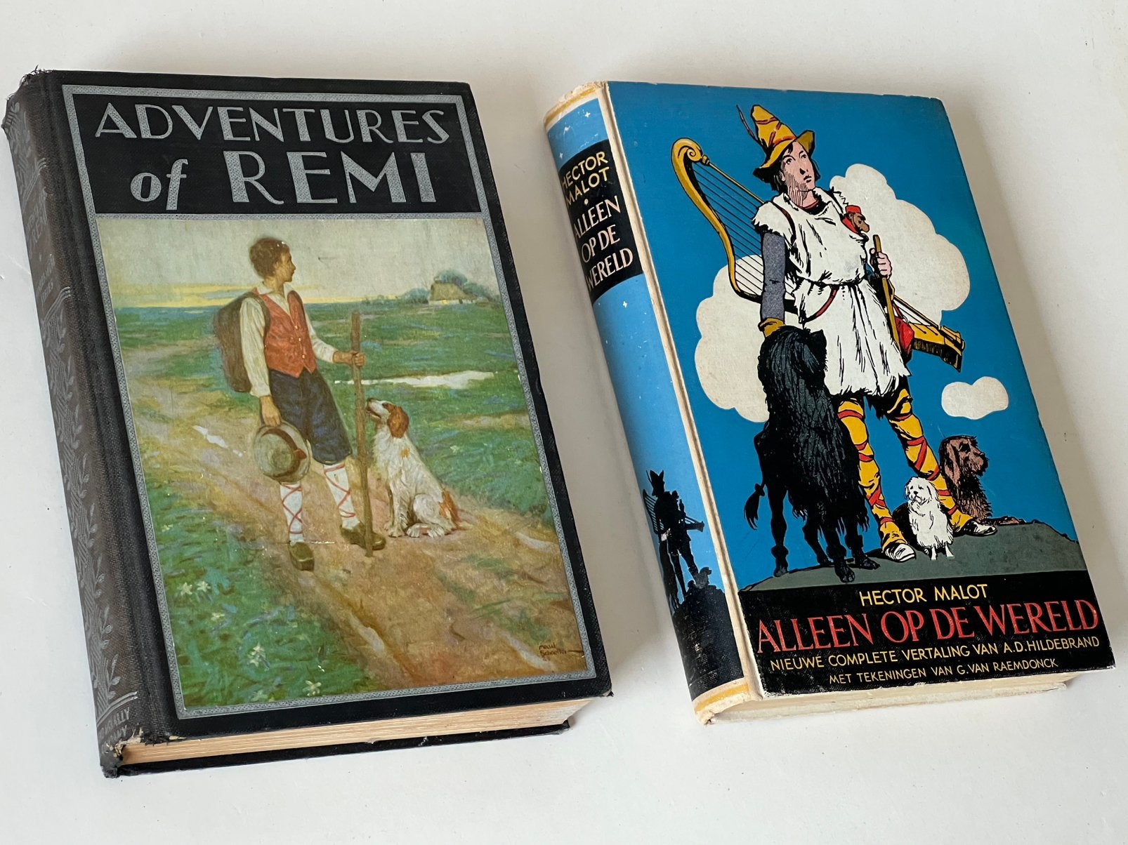Twee keer Alleen op de Wereld, Hector Malot, Antiek en Kunst, Ophalen of Verzenden