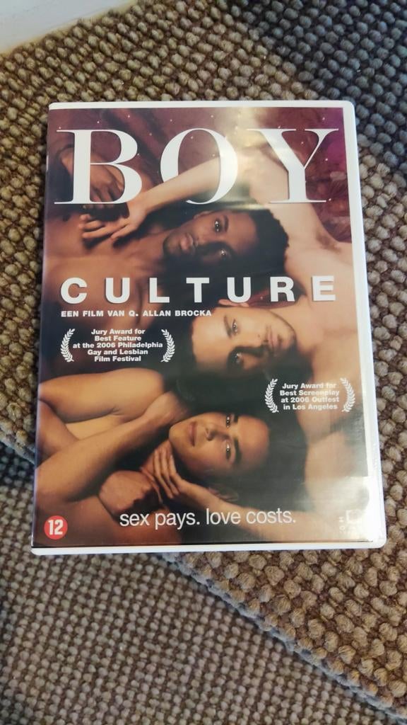 Gay Themed movie: Boy Culture DVD - Q. Allan Brocka, Vanaf 12 jaar, Ophalen of Verzenden, Gebruikt