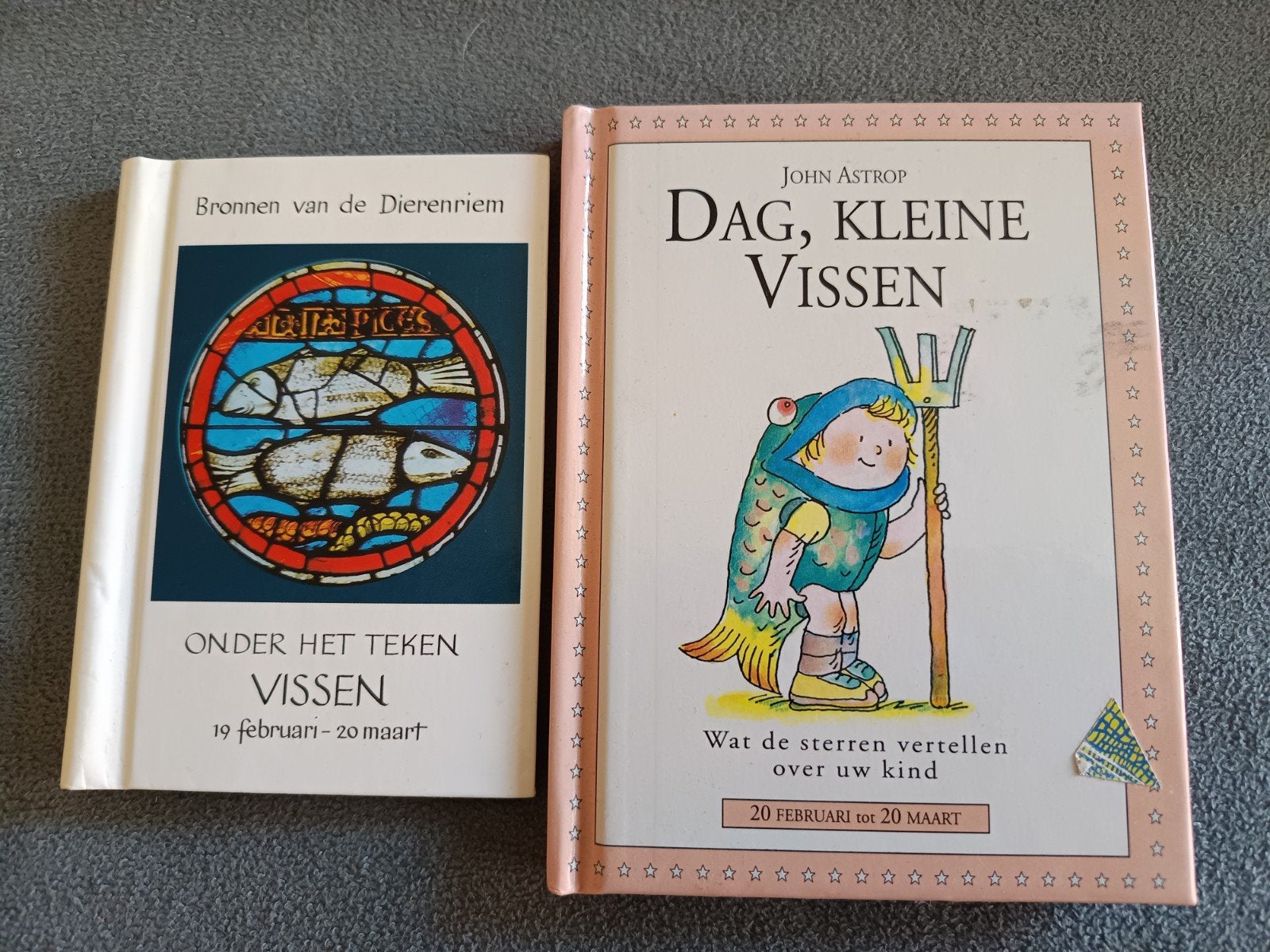 Dag, Kleine Vissen & Bronnen van de Dierenriem Vissen, Ophalen of Verzenden, Zo goed als nieuw, John Astrop, 2 tot 3 jaar