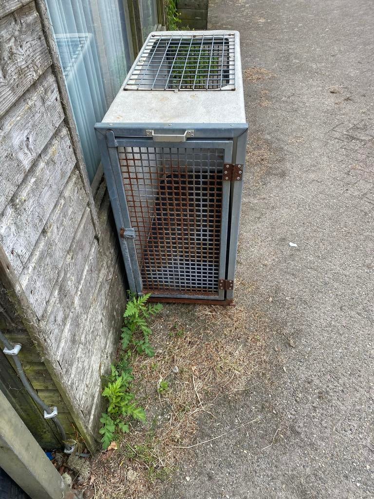 Transportbox hond / bench, Dieren en Toebehoren, Ophalen, Gebruikt, 65 tot 100 cm, Hondenhok