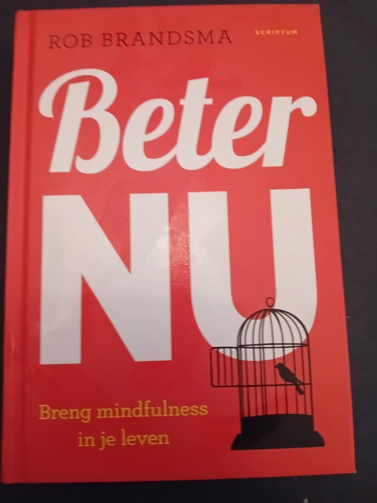 Rob Brandsma - Beter nu, Boeken, Ophalen of Verzenden, Zo goed als nieuw, Rob Brandsma