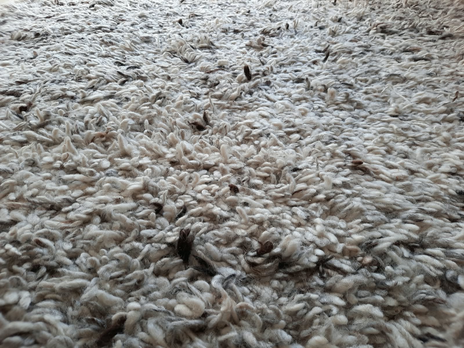 FRAAI Lichtgrijs Wollen Vloerkleed  Hoogpolig (200x290 cm), Ophalen, Gebruikt, 200 cm of meer, 200 cm of meer