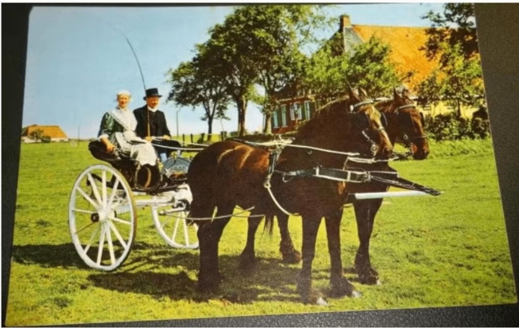 Paard - Friesland - Klederdracht - Sjees, Verzenden, 1980 tot heden, Gelopen, Paard